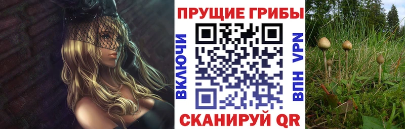Псилоцибиновые грибы прущие грибы  купить наркотик  Ростов 